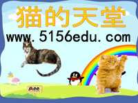 《猫的天堂》ppt课件4